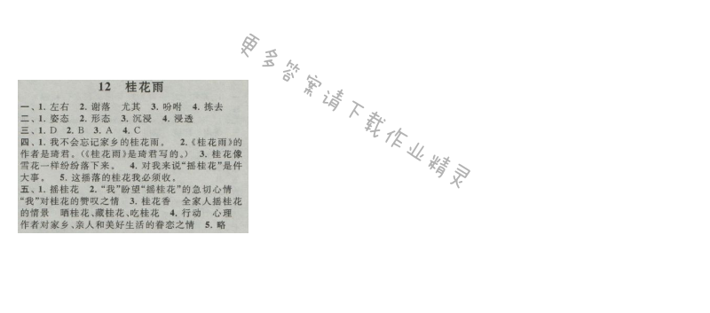 启东黄冈作业本四年级语文上册江苏版 12 桂花雨