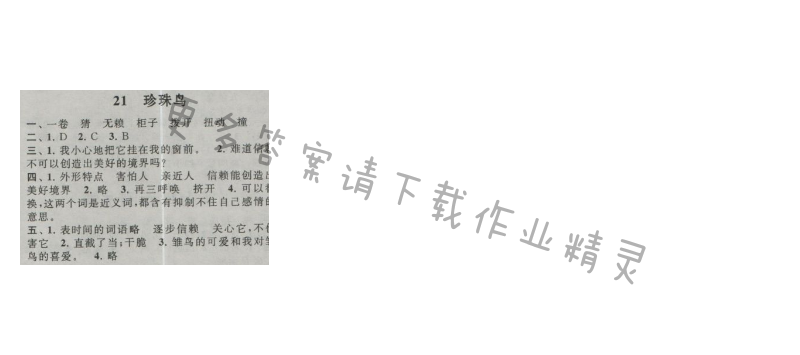 启东黄冈作业本四年级语文上册江苏版 21 珍珠鸟