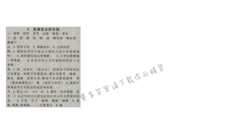 启东黄冈作业本五年级语文上册江苏版 5 装满昆虫的衣袋
