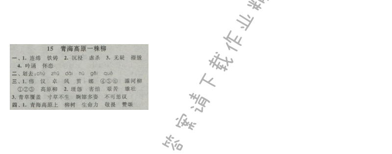 启东黄冈作业本六年级语文上册江苏版 15 青海高原一株柳
