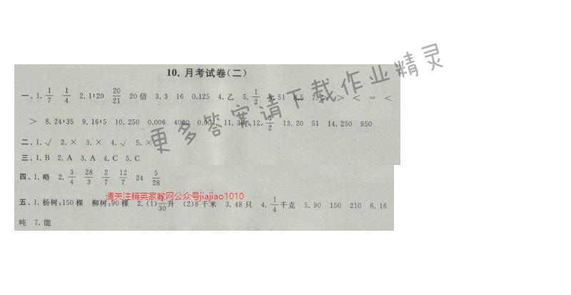 启东黄冈大试卷六年级数学上册江苏版 10.月考试卷(二)