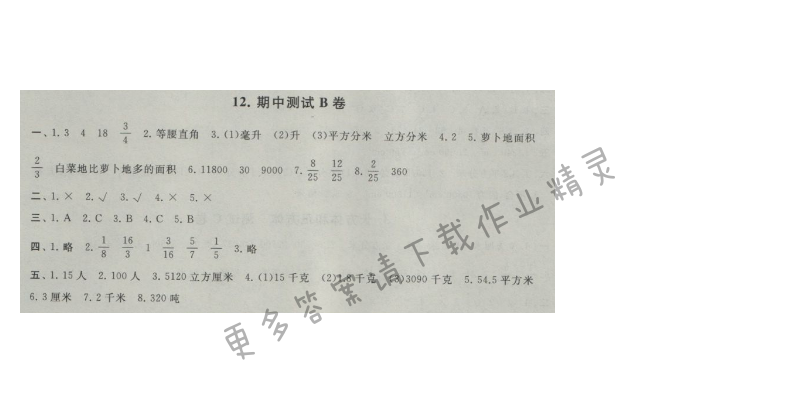 启东黄冈大试卷六年级数学上册江苏版 12.期中测试B卷