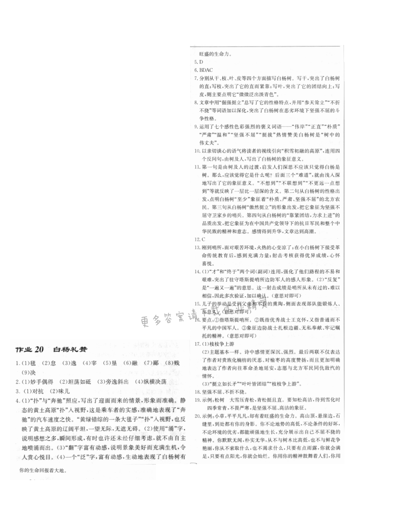 启东中学作业本八年级语文上册人教版 作业20