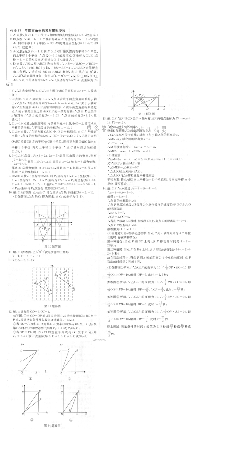 启东中学作业本八年级数学上册江苏版 作业37