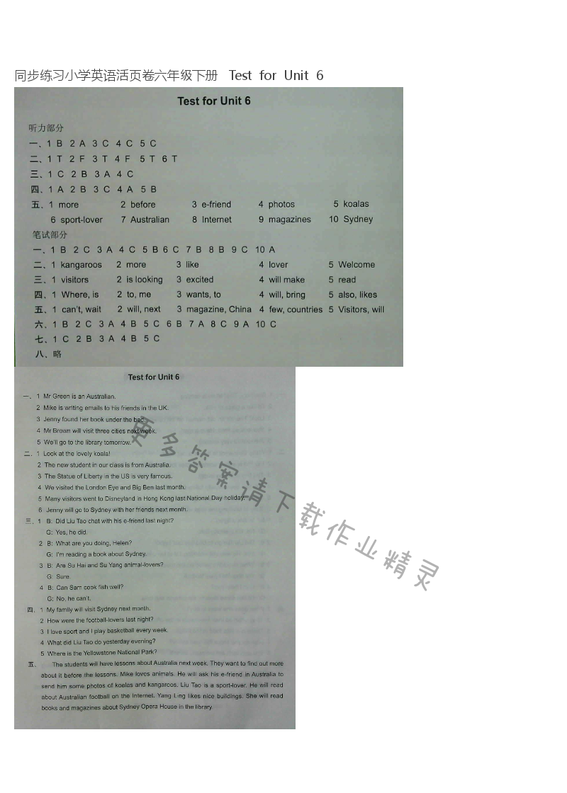 同步练习小学英语活页卷六年级下册   Test  for  Unit  6