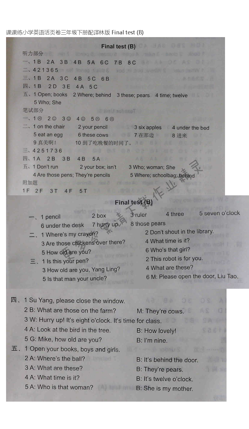 课课练小学英语活页卷三年级下册配译林版 Final test (B)