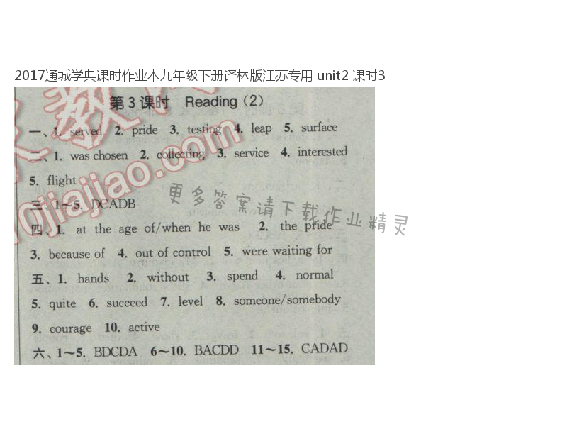 2017通城学典课时作业本九年级下册译林版江苏专用 unit2 课时3