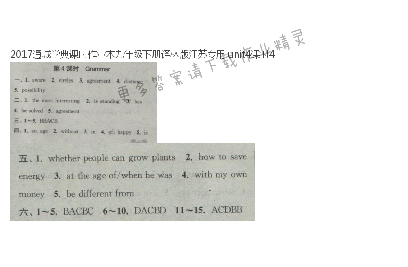 2017通城学典课时作业本九年级下册译林版江苏专用 unit4课时4