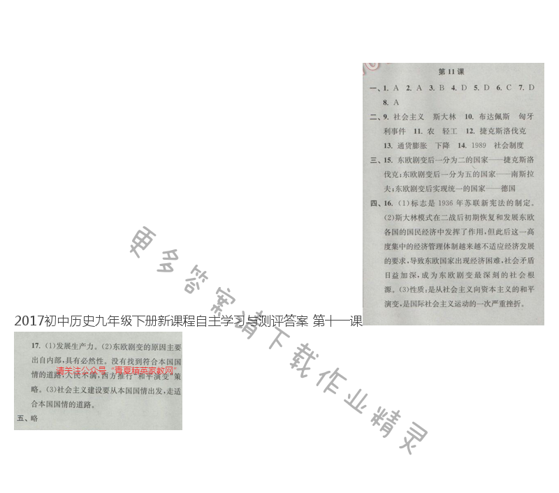 2017初中历史九年级下册新课程自主学习与测评答案 第十一课