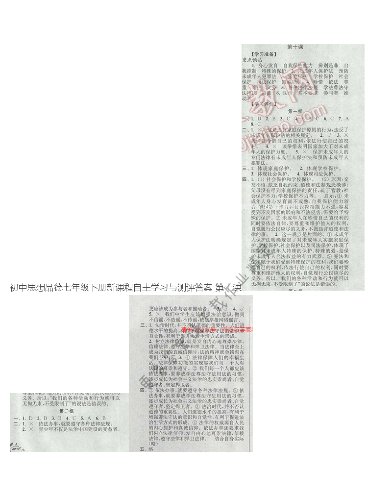 初中思想品德七年级下册新课程自主学习与测评答案第十课 道德与法治七年级上下册人教版新课程自主学习与测评答案