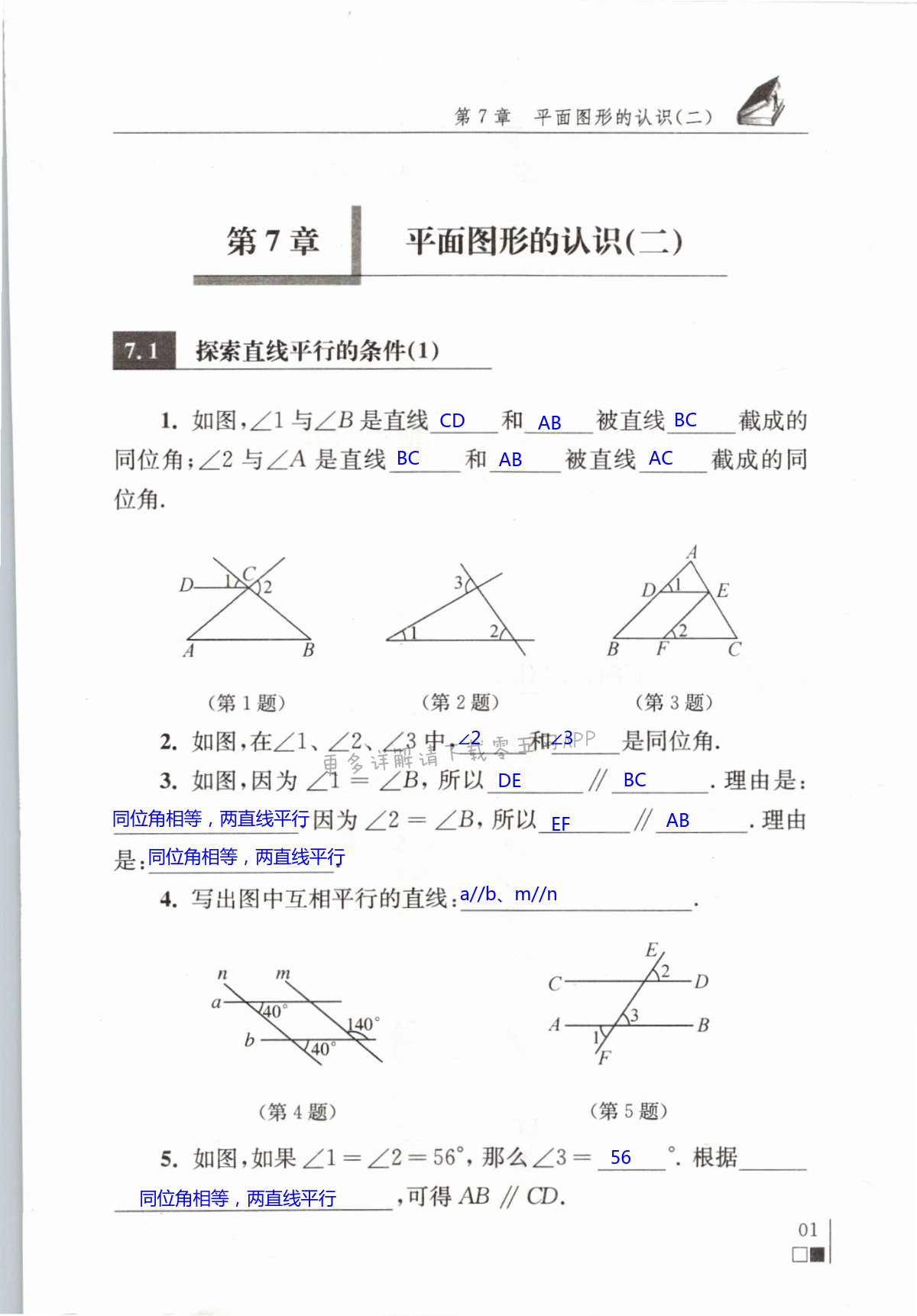 第1页 苏科版数学补充习题七年级上下册答案—零五网