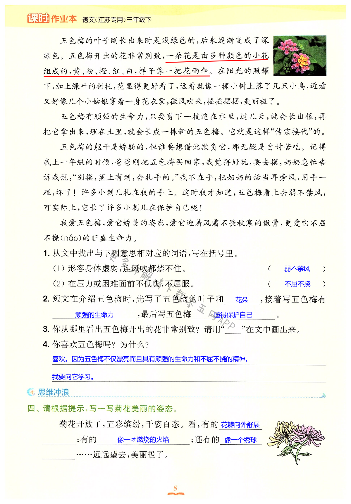 零五网答案图片