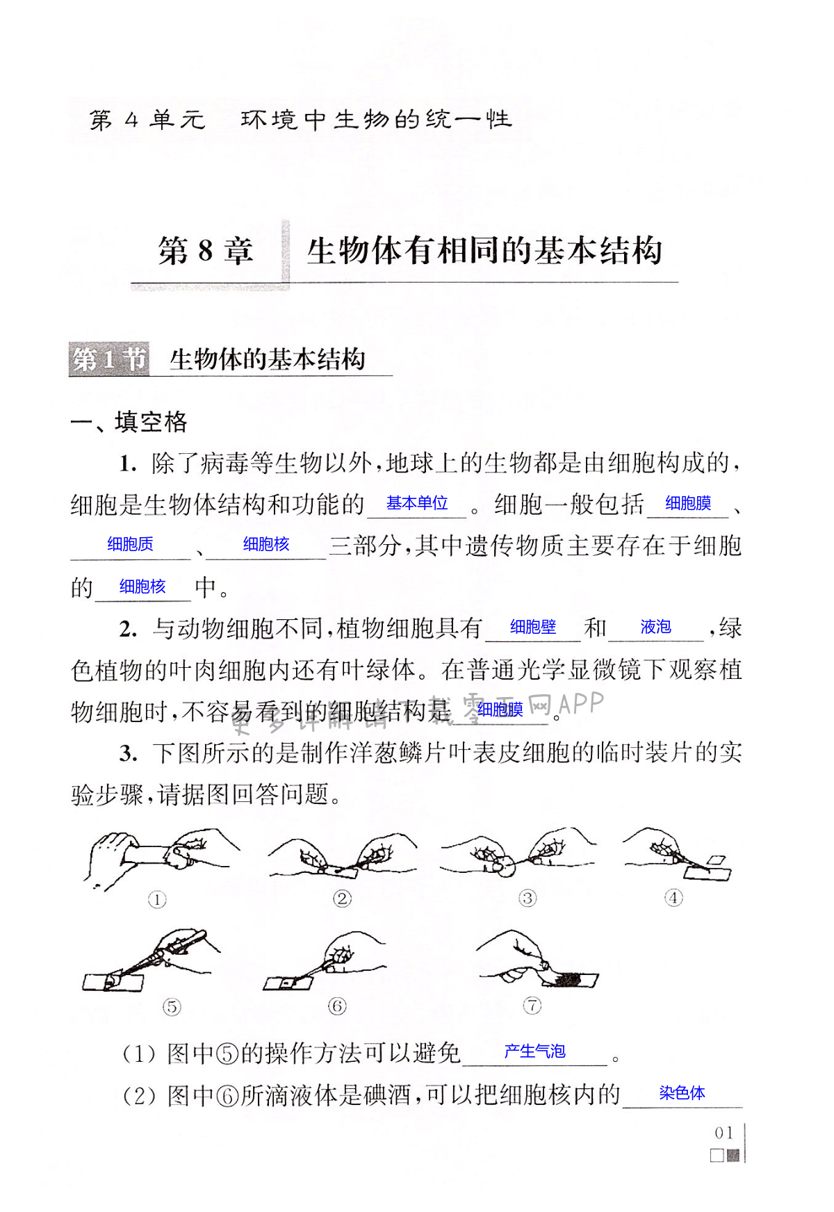 第8章生物体有相同的基本结构第1页