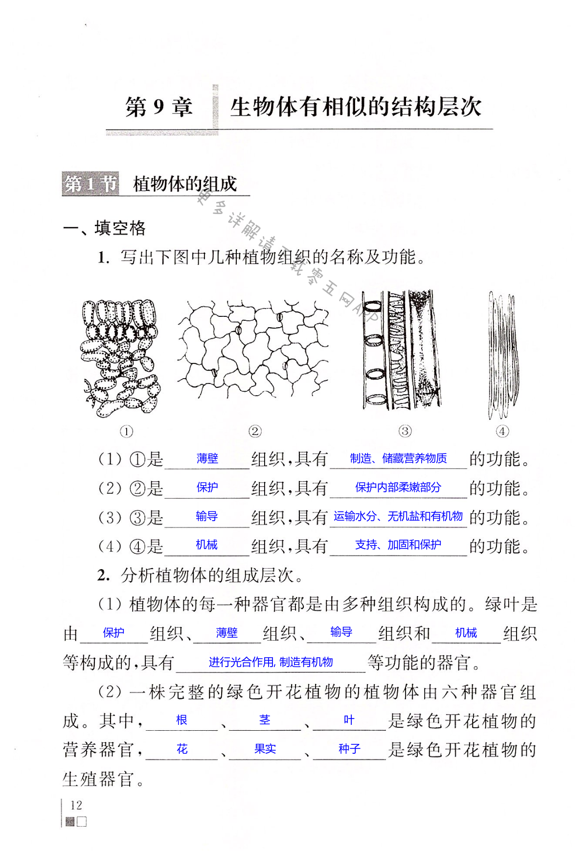 第12页 