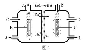 下图1是工业电解饱和食盐水的离子交换膜电解槽示意图.