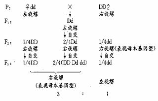 遗人口实 释义_人口普查图片