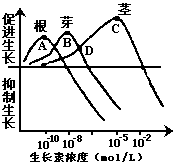 右图表示生长素浓度对根,茎,芽生长的影响,此图没有给你的信息是