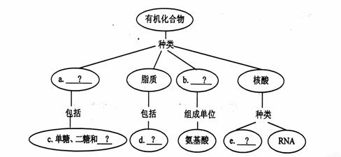 请完成组成生物体的有机化合物分类的概念图: ⑴a  ⑵b  ⑶c