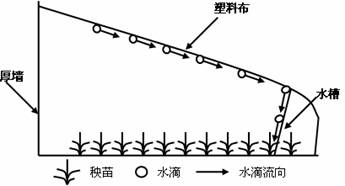 人口原理的利弊_人口普查(2)