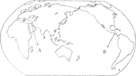 5979.jpg