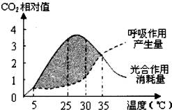 42434.jpg