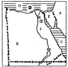 埃及人口主要分布在_埃及9000多万人口主要分布在哪里(2)