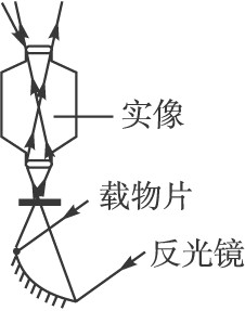 显微镜目镜镜片安装图图片