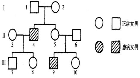 孟德尔定律遗传图解图片