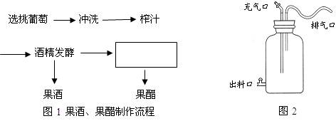 下面是果酒和果醋制作的实验流程和某同学设计的果酒和果醋的发酵装