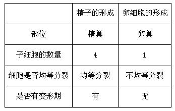 精子的形成与卵细胞形成的比较