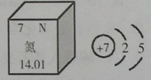 氮4的结构示意图图片