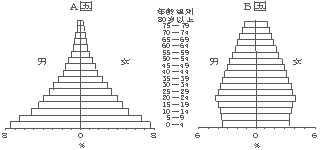 人口金字塔合理比例_中国人口金字塔比例图(2)