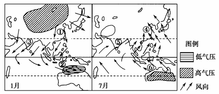 盛行风风频图图片