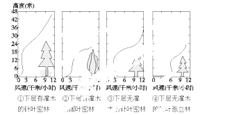 从沙子里出水叫什么原理_趴在沙子里的鱼叫什么(2)