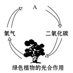 坚信爱会赢小提琴谱(2)