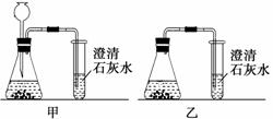 性均良好)进行二氧化碳的制取及性质实验,但均未发现澄清石灰水边浑浊