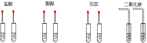 (2008,揭阳)某同学为了区别氢氧化钠溶液和澄清石灰水,设计了如下图