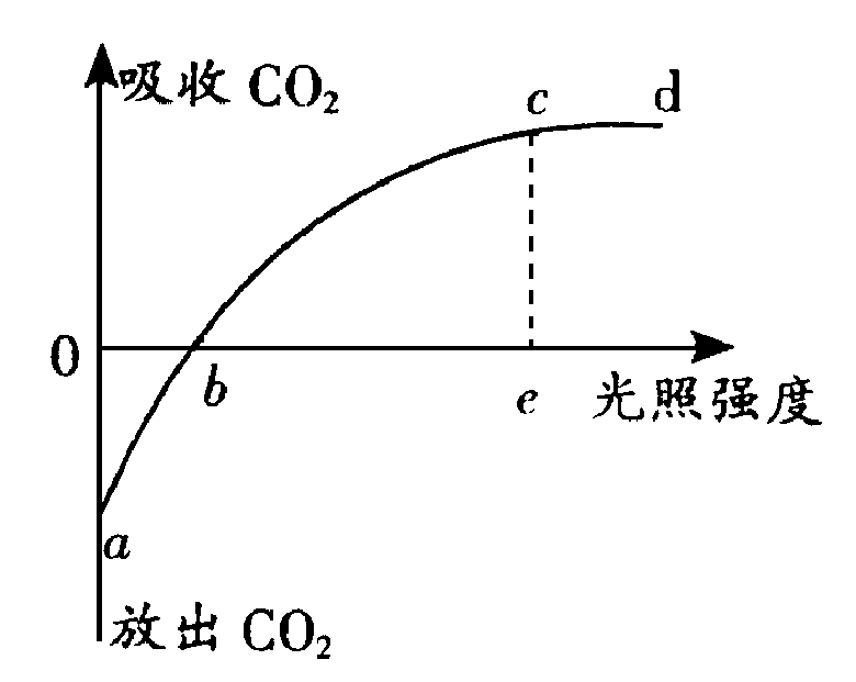 (1)图中纵坐标除用co2的吸收量和释放量表示植物光合作用强度外,还