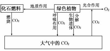 大兴安岭人口密度少的原因_大兴安岭地图(3)