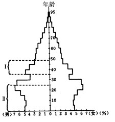 人口的性别构成_平面构成点