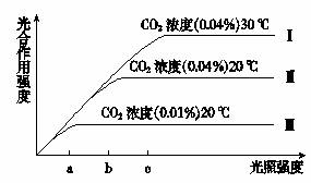 gdp的co2强度_华油能源,什么是华油能源 华油能源的最新报道(2)