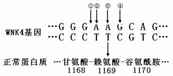 眼色简谱_林宥嘉眼色简谱(3)