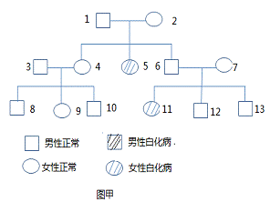 家族遗传系谱图白化病系谱图分析白化病遗传系谱图疾病系谱图人类遗传