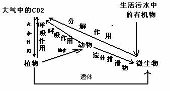 沉水pe线是什么原理_pe线是什么意思(2)