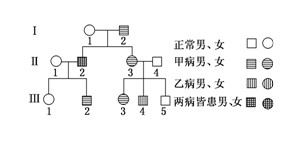 258080.jpg