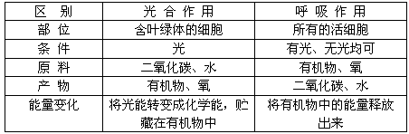 填充下表比較光合作用和呼吸作用