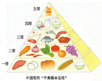 平衡膳食宝塔共分五层图片
