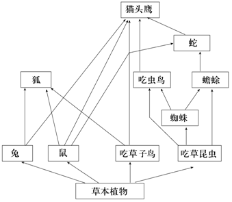 (2)此食物网最长的一条食物链含 个营养级(3