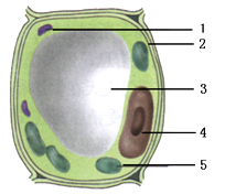 下圖是動.植物細胞結構圖.