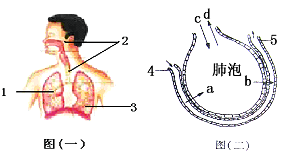 2012080713272521529419.png